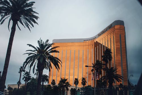 Casino imagen